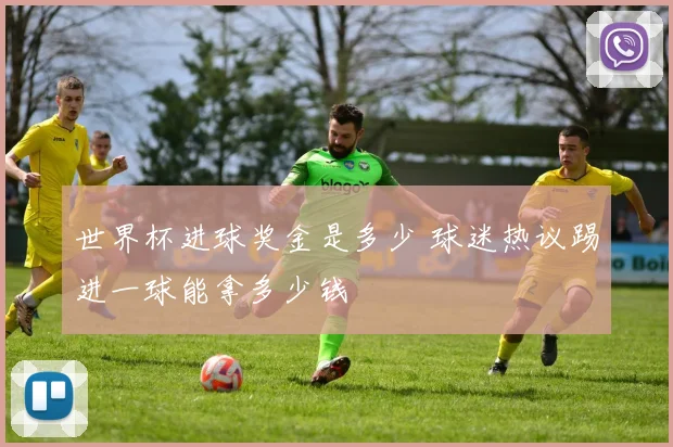世界杯进球奖金是多少 球迷热议踢进一球能拿多少钱