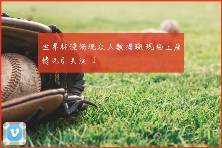 世界杯现场观众人数揭晓 现场上座情况引关注_1