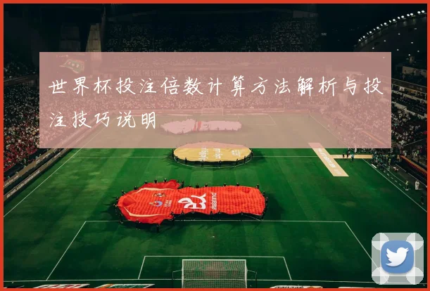 世界杯投注倍数计算方法解析与投注技巧说明