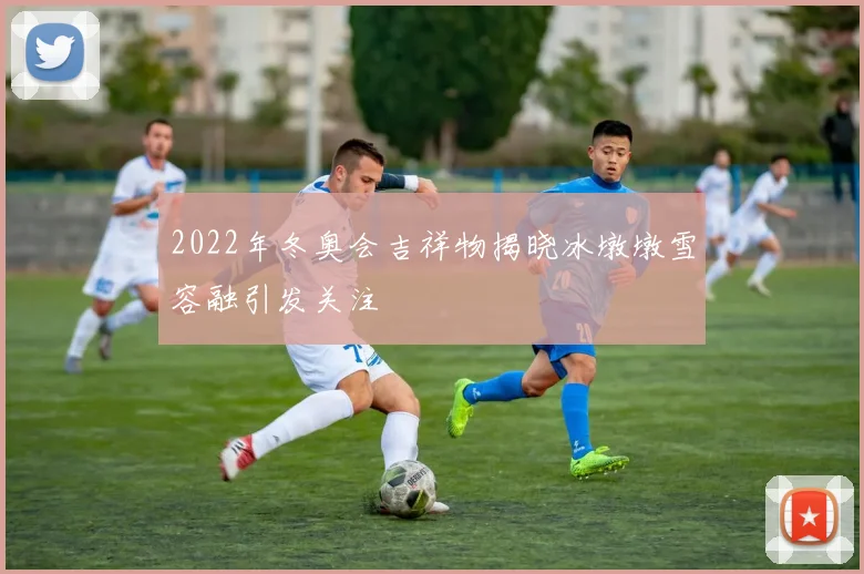 2022年冬奥会吉祥物揭晓冰墩墩雪容融引发关注