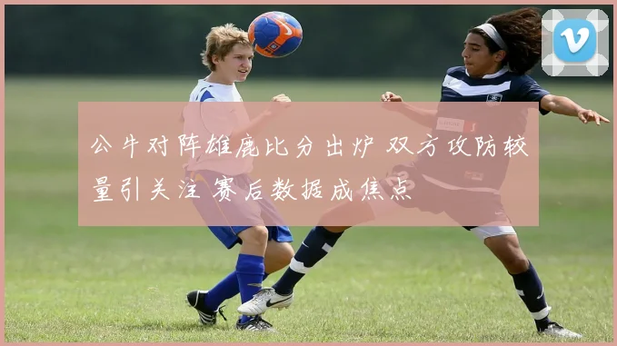 公牛对阵雄鹿比分出炉 双方攻防较量引关注 赛后数据成焦点